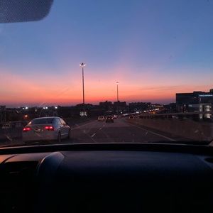 Meet your Posher, Lily